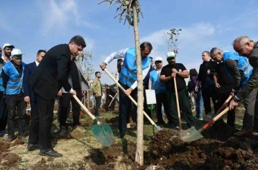 Siverek’te fidanlar geleceğe nefes olacak 