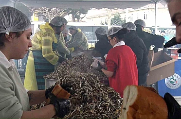 Soğuğa aldırış etmeyen vatandaşlar Balık Festivali’ne koştu 