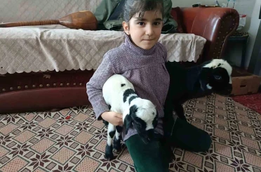 Soğuk hava kuzuları eve taşıdı: Elazığ’da yeni doğan kuzular biberonla besleniyor 