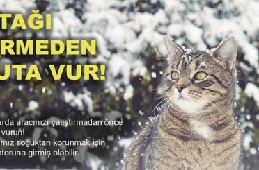 Soğuktan korunmak için girdiği araçta sıkışan kedi kurtarıldı 