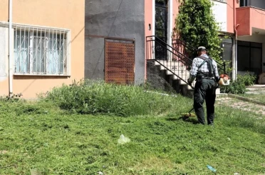 Söğüt’te çim biçme ve ilaçlama çalışmaları aralıksız devam ediyor 