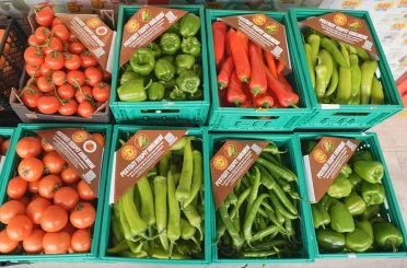 ŞOK Marketler’de pestisit analizinin kapsamı genişliyor: Domatesten sonra biberler de analiz ediliyor 