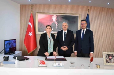 Sokak hayvanları için doğal yaşam alanı oluşturulacak 