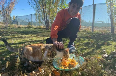 Sokak hayvanlarını elleriyle besliyor, onlara yuva oluyor 