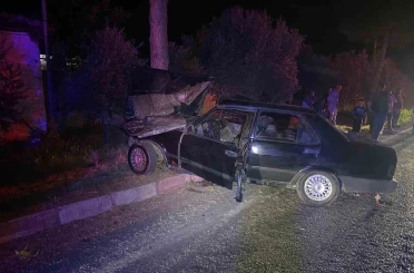 Sokak köpeğinden kaçmak isteyen otomobil ağaca çarptı: 1’i ağır 2 yaralı 