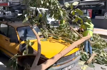 Söke’de ağaç dalı park halindeki aracın üzerine düştü