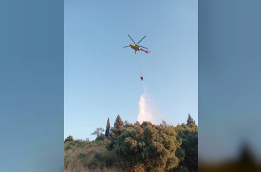 Söke’de makilik ve zeytinlik yangını 
