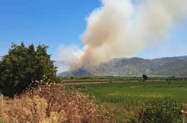 Söke’de zirai alanda yangın 