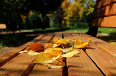 Sonbahar halsizliğine diyetisyenlerden tavsiyeler 