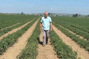 Sözleşme yaptığı firma ürünü almayınca 20 milyon lira zarar etti 
