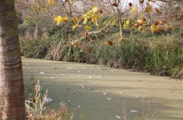 Su kanalı adeta çöplüğe döndü: Vatandaş Karasu Belediyesi’ni göreve çağırdı 