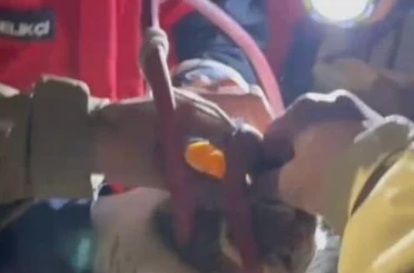 Su pompası deliğine düşen yavru kediyi itfaiye kurtardı 