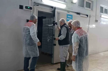 Su ürünleri tesislerinde güvenlik ve kalite denetimi 