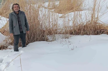 Sulak alanlar için hayati çağrı 