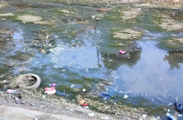 Sulama kanalındaki balıklar telef olmaya devam ediyor 