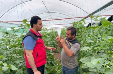Sulu tarım mevsimlik tarım işçiliğini bitirdi 