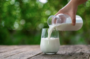 Süt fiyatı belirsizliği üreticiyi zorluyor