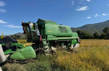 TAKE projesi kapsamında ekilen çeltiğin hasadına başlandı 