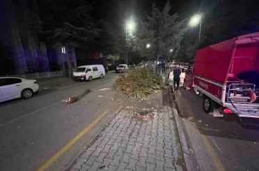 Takla atan otomobilden çıkartılan sürücünün ilk sözü: "Abi bir sigara verin de içelim" 