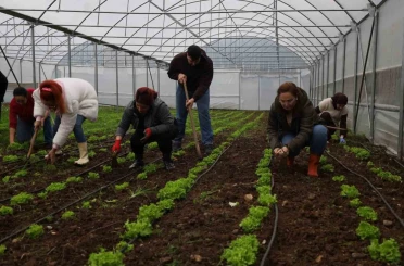 Tarım Akademisi’nde 16-55 yaş arası aday çiftçilere eğitim 