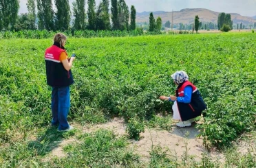 Tarım arazilerinin korunması çalışmaları sürüyor 