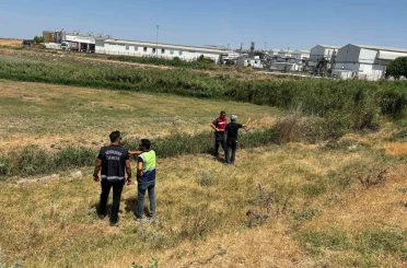 Tarım arazisine kaçak foseptik deşarjı suçüstü yakalandı 