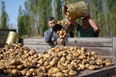 Tarım-GFE yıllık yüzde 34,24 arttı 