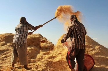 Tarım-GFE yıllık yüzde 34,60 arttı 