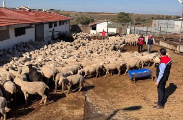 Tarım İl Müdürü Aksoy üreticinin sorunlarını yerinde dinledi 