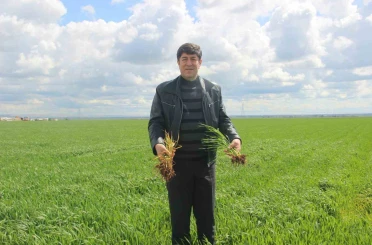 ’Tarım kenti’ Şanlıurfa yağışa doydu 