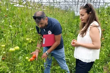 Tarım projeleri meyvelerini vermeye başladı
