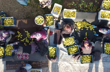 Tarım-ÜFE yıllık yüzde 31,45 arttı, aylık yüzde 1,56 azaldı 