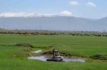 Tarımda önder üretici modeli vurgusu 