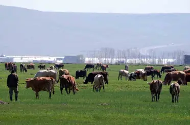 Tarımda üreticilere destekleme çağrısı
