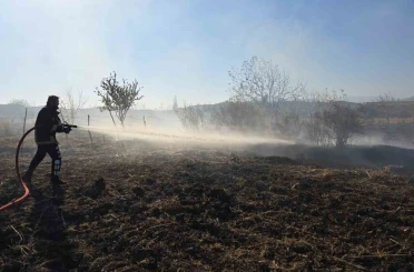 Tarlada çıkan yangın söndürüldü 