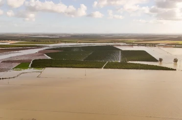 Tarsus Belediyesi sel ve fırtına sonrası zarar tespiti için sahada 