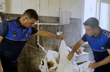 Tarsus’ta fırın denetimlerinde haşereli hamur tespit edildi 