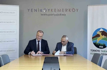 Taşınan zeytin ağaçlarını TTKD izleyecek 