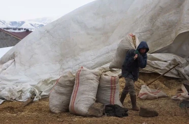 Tatvan’da yayladan besiye dönüş 
