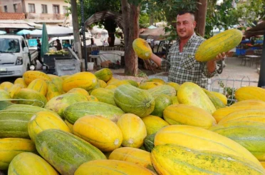Tavan arasından çıkan tohumlar Altınbaş Kavununu yeniden canlandırdı 