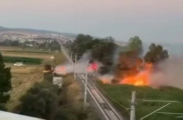 Tavşanlı’da çıkan arazı yangını kısa sürede söndürüldü 