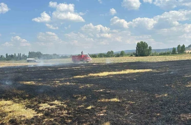 Tavşanlı’da çıkan tarım yangınında 10 dönüm ekili alan zarar gördü 