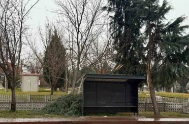 Tavşanlı’da şiddetli rüzgar ağaç devirdi 