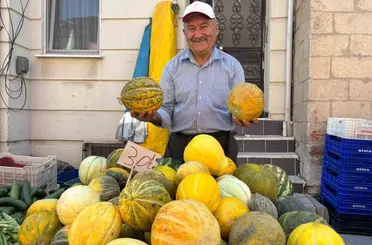 Tavşanlı’nın meşhur Kışlademirli kavunu pazara indi
