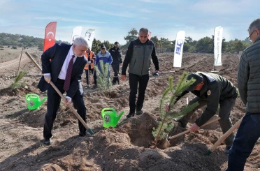 TEI’den 17 bin fidanlık 40. Yıl Hatıra Ormanı 