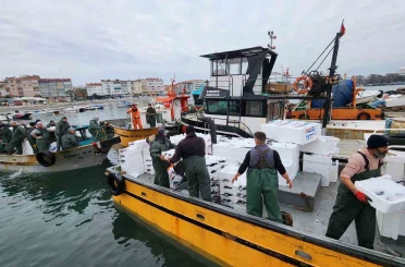 Tekirdağ açıklarında torik bereketi 