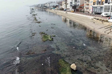 Tekirdağ deniz çekildi ’Kral yolu’ ortaya çıktı 
