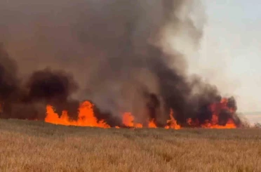 Tekirdağ İtfaiyesi 7 ayda 8 bin 157 olaya müdahale etti 