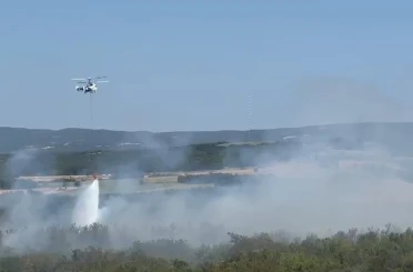 Tekirdağ’da anız yangını ormana sıçradı: Havadan ve karadan müdahaleyle kontrol altına alındı 