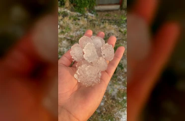 Tekirdağ’da dolu ayçiçeği ve karpuz tarlalarını vurdu 